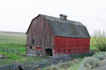 barns